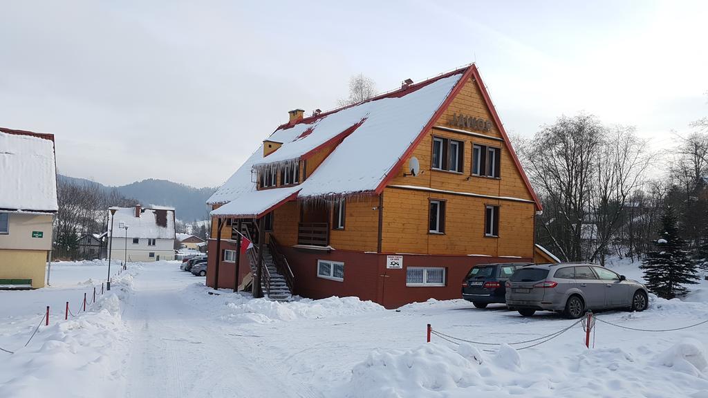Jawor Czarnypotok